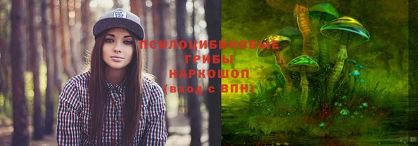 кристаллы Щигры