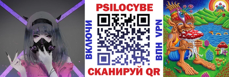 Псилоцибиновые грибы Psilocybe  Купить закладки  Окуловка 